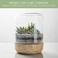 thumbnail image 6 of Horticultural Charcoal for Indoor Plants (24 Quarts), Hardwood Soil Additive for Orchids, Terrariums, and Gardening, 6 of 10