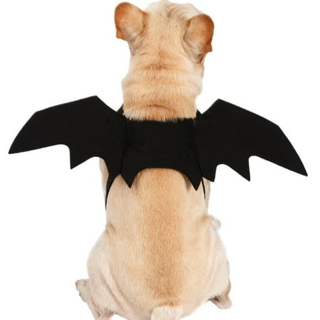 Fysho Pet Halloween Cosplay Funny Costume for Dogs Cats Puppies Kittens Black Bat (Best Black Dog Costumes)