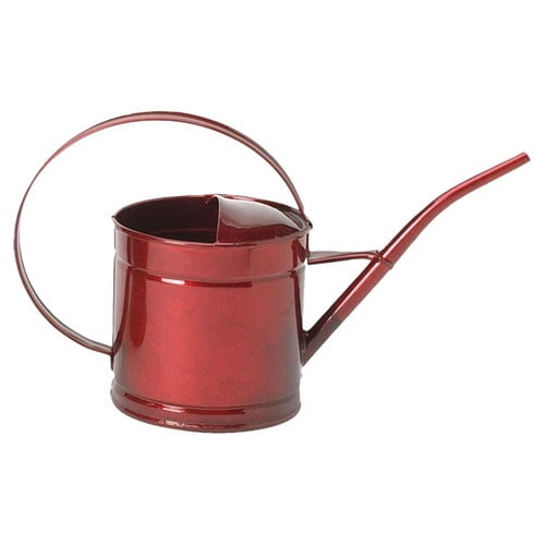 Houston International Watering Can (Set of 12) by Houstan International