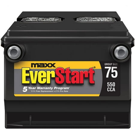 Everstart Ma Lead Acid Automotive Battery Group 75s