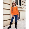 thumbnail image 5 of Arshiner Girls Cute Shirt Crewneck Mesh Long Sleeve Swiss Dots Pullover T-Shirts Girls Top, 5 of 6