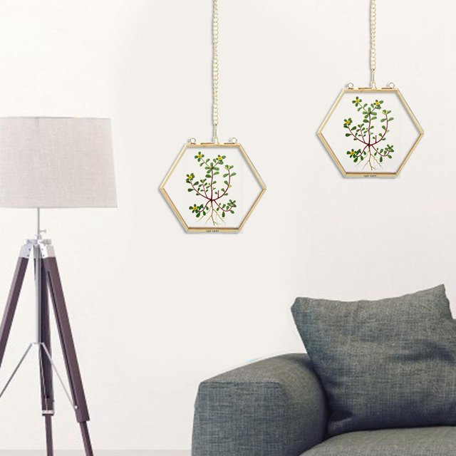 Specimen Display Frame, Glass + Copper Specimen Frame, Dried Flower Plant Tightly Connected For Coffee Shop Wall Living Room