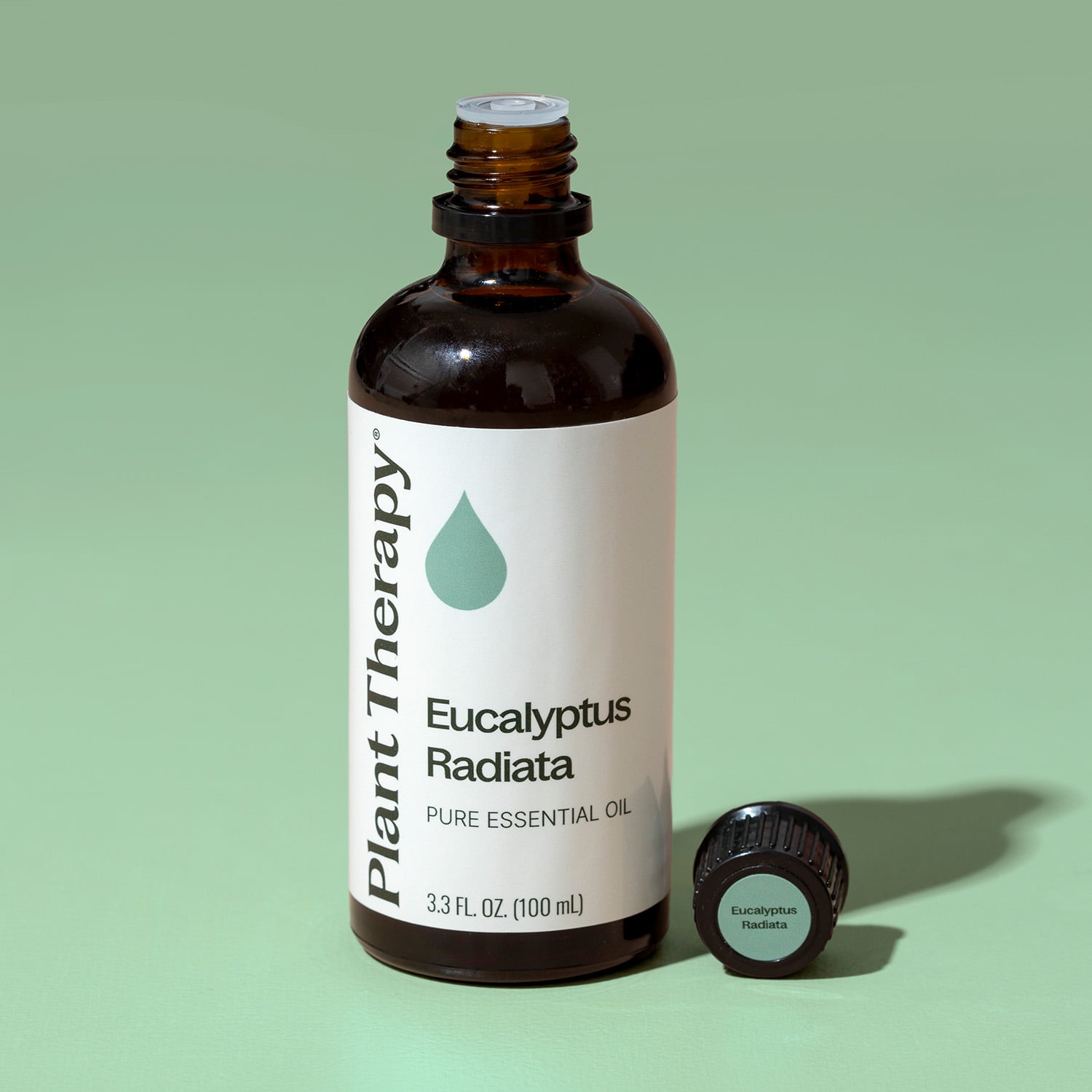 Plant Therapy Eucalyptus Radiata Essential Oil 100 mL (3.3 oz) 100% Pure, Undiluted, Natural Aromatherpay