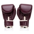 thumbnail image 2 of Fairtex BGV16 Leather Muay Thai Boxing Gloves, 2 of 11