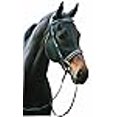 thumbnail image 3 of Henri de Rivel Bride de Dressage Warmblood Noir/blanc, 3 of 3