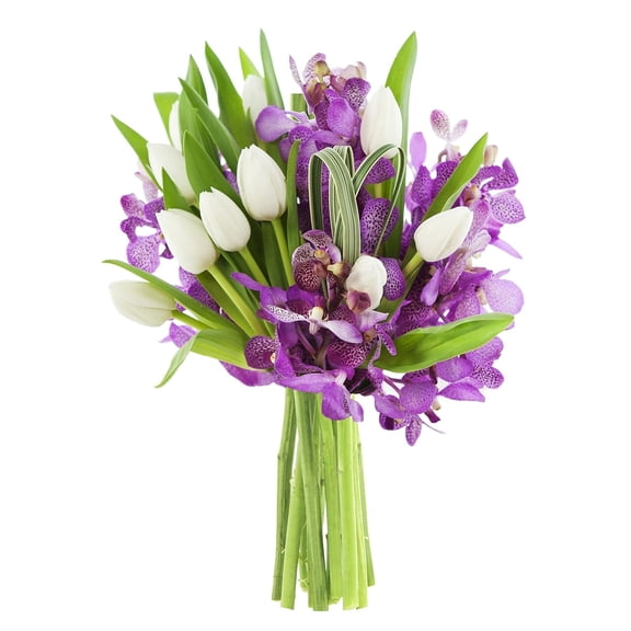 KaBloom: 10 White Tulips, 5 Purple Orchids, 3 Greens, Next-Day Delivery, Gift for Every Occasion.