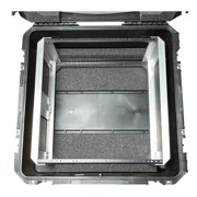 SKB Cases Seres Case Wth Removeable 10U Alumnum Shallow Rack Cage, Tsa Locks, Wheels