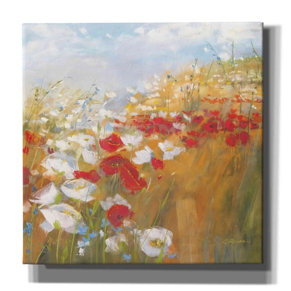 Epic Graffiti 'Poppies And Larkspur II' by Carol Rowan, Giclee Canvas Wall Art, 37"x37"