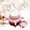 Pink, variant on Hodwiequ Puppy Feeder Bottle Puppy Milk Replacement Silicon Puppy Bottles For Nursing With 4 Nipples Puppy Feeders For Multiple Puppies Gray