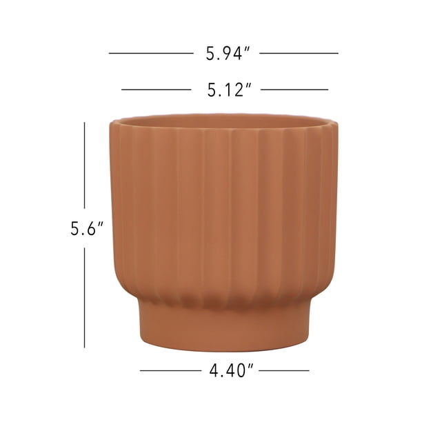pot 2023,04-2024,03 まとめ売り Zion 6