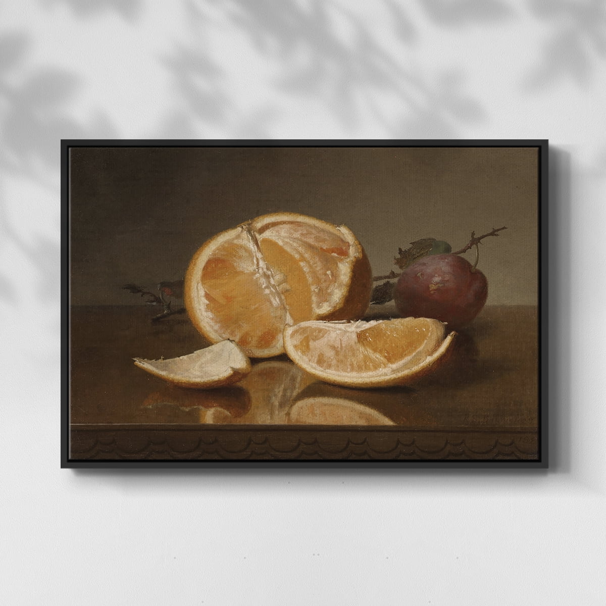 Vintage Botanical Print-LXXVII By Wexford Home Framed in Black Wood Gallery Wrapped Canvas 27 in. x 41 in.