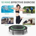 thumbnail image 6 of ZENOVA 40" Rebounder Trampoline for Adults with Bungee Cords, Portable Fitness Exercise Mini Trampoline, Small Rebounder Indoor/Outdoor, Quiet Workout Equipment, 450lbs, Green, 6 of 10