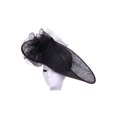 thumbnail image 1 of Sombrero curvo de moda ChicHeadwear negro Sombrero para el sol, 1 of 1