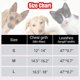 thumbnail image 3 of Anyifan Juego de arnés y correa para gatos y cachorros, malla a cuadros ajustable para exteriores, arnés para perros pequeños, seguridad de escape, transpirable, cómodo, chaleco reflectante para perros para cachorros y gatos Ormromra WMZL-542-1, 3 of 8
