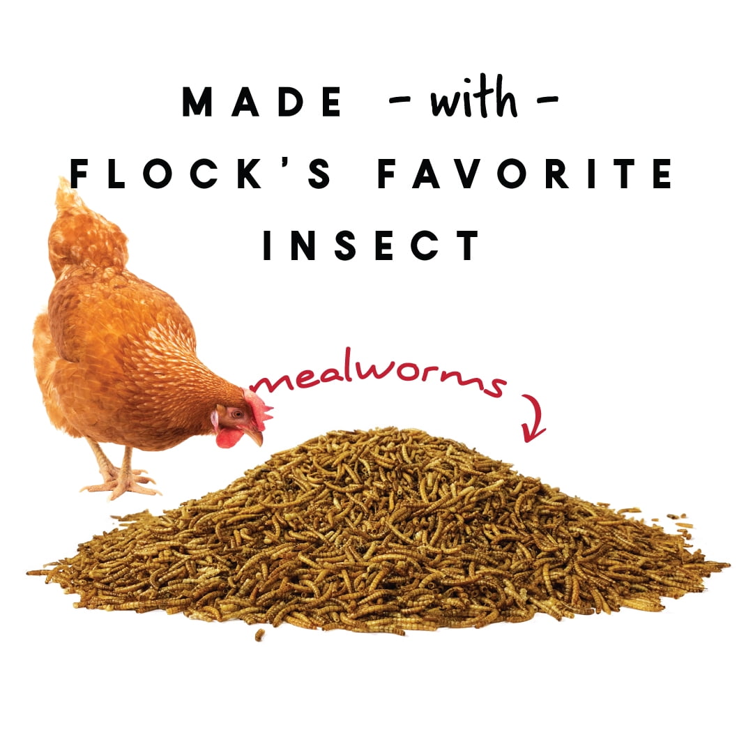 Manna Pro Mealworm Medley Cake | Chicken Treats, Chicken Food | 19.5 Ounces