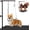 Black, variant on Dog Grooming Arm with Pet Grooming Hammock, 35" Pet Grooming Table Arm with Adjustable No Sit Haunch Holders, Dog Grooming Stand with Loop Noose for Small and Medium Pets, Green