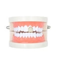thumbnail image 3 of Hip Hop Teeth Personality Grills Single Teeth Exquisite Micro-Inlaid Zircon Braces Fashion Teeth Grills Set Grills Teeth Decoration for Halloween Party Performance, 3 of 9