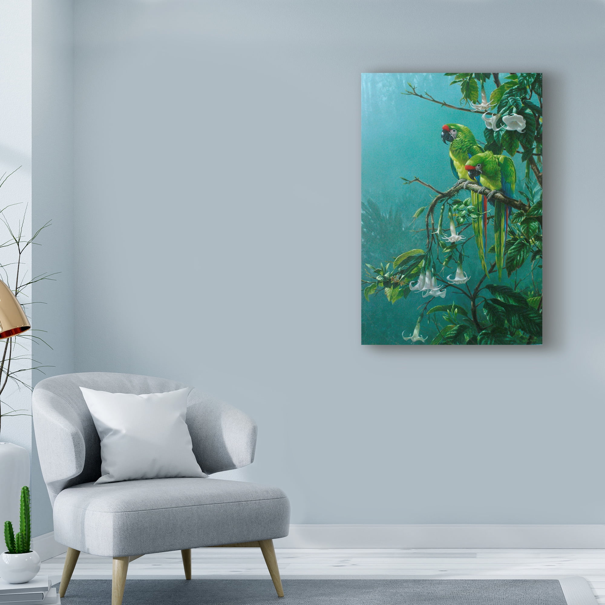 Trademark Fine Art 'Buffons Macaws' Canvas Art by Michael Jackson