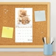 thumbnail image 6 of Trends International 2024 Buddies Mini Wall Calendar & Push Pins & Push Pins, 6 of 8