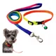 thumbnail image 1 of Correa Y Arnes Para Gato Y Perro Pequeño Ajustable Arcoíris, 1 of 7
