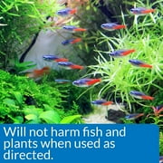 API AlgaeFix Controls Algae Growth for Freshwater Aquariums [Aquarium Algaecides, Aquarium Supplies] 24 oz (3 X 8 oz)