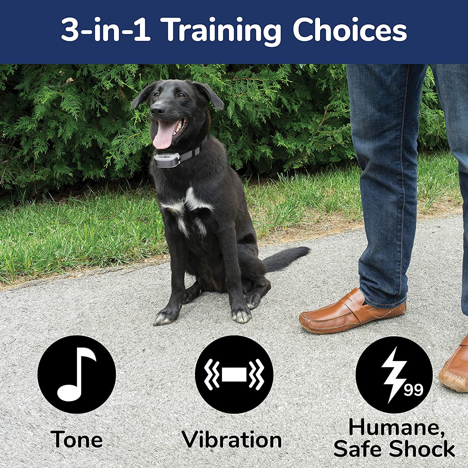 Free Spirit Remote Trainer Rechargeable Dog E Collar 330 Yard Range Waterproof Collar Tone Beep Vibrate and 99 Levels of Shock Walmart