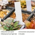 thumbnail image 3 of 100pcs Plastic Plant Labels 10x2cm Waterproof Garden, Plastic SeedlingsFlower Pot Labels PVC Plants, 3 of 5