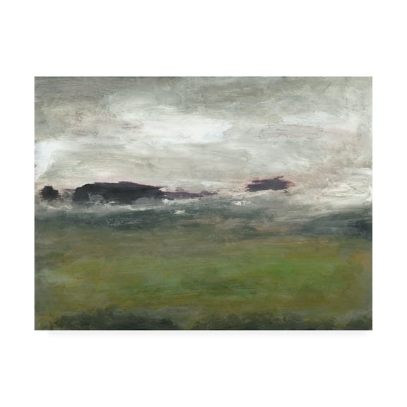 Trademark Fine Art 'Along the Island I' Canvas Art by Sharon Gordon