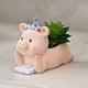 thumbnail image 4 of Macetas de Plantas Suculentas de Animales Macarena Maceta de Resina Hecha a Mano Cerdito Opción 2, 4 of 8