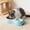 Blue, variant on Staron Stainless Steel Pet Bowl, Automatic Water Dispenser Dog Cat Bowl 2 in, Foolproof Clean Gravity Feeder for Small Medium Pets Food and Water, Green