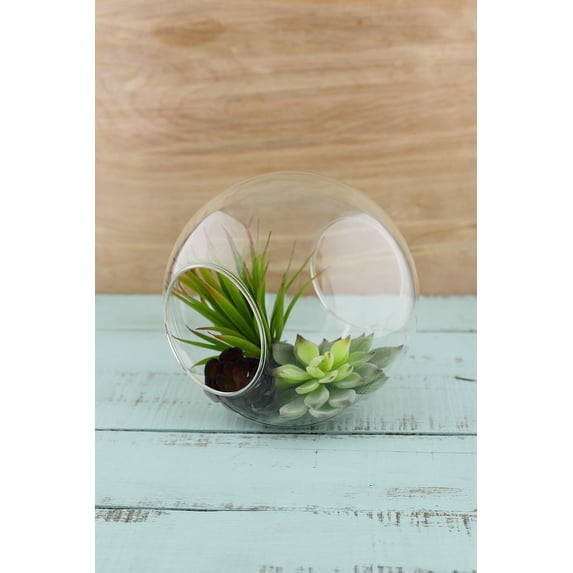 Glass Terrarium Globe 7 inches