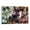 Frame-style, variant on Japan Mystery Supernatural Anime Bungo Stray Dogs Role Poster Posters Wall Art Painting Canvas Gift Living Room Prints Bedroom Decor Poster Artworks 12x18inch(30x45cm)