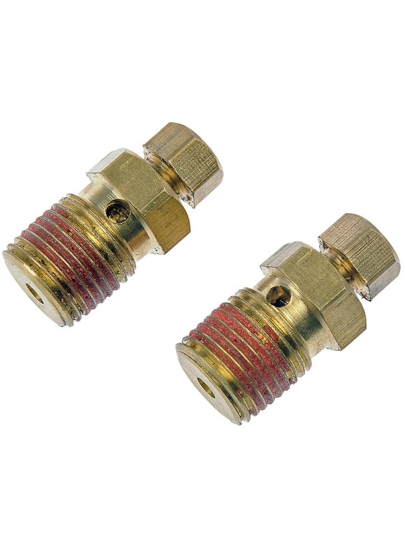 Coolant Bleeder Screws in Car Hoses