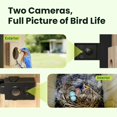 thumbnail image 3 of Smart Bird House Birdfy 2025 con energía solar de doble cámara 1080P, 3 of 9
