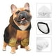 thumbnail image 3 of Balery Cute Sunflower Guinea Pig Sudadera con Capucha para Perros Pequeños – Ropa para Mascotas, Disfraz para Perros y Gatos, Ideal para Fiestas y Cosplay-X-Large, 3 of 7
