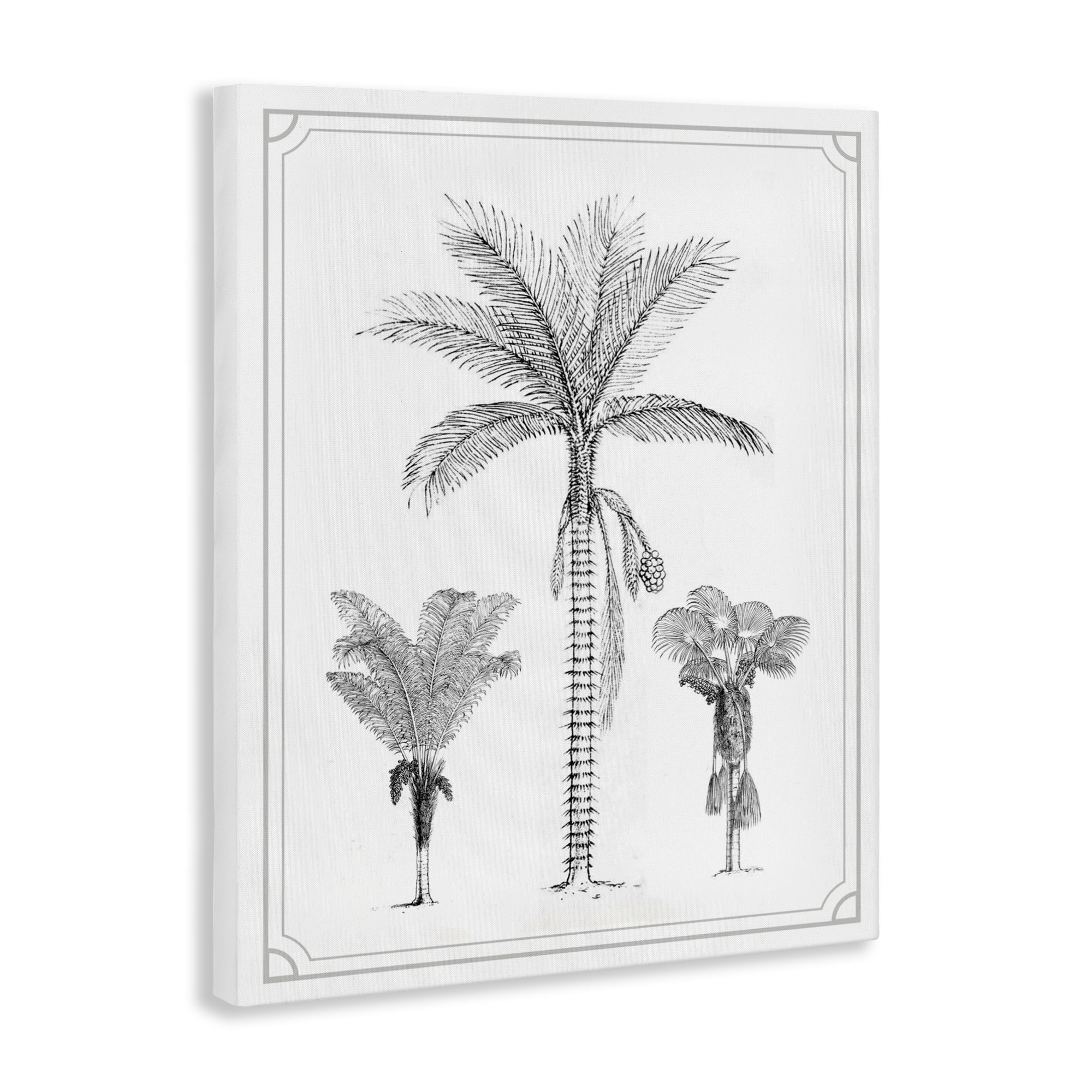 Palm Tree Trio Sketches Canvas Wall Art, design by Lettered and Lined