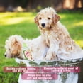thumbnail image 3 of Pet Silk Pet Silk D-limonene Shampoo 16 Oz, 16 Oz, 3 of 5