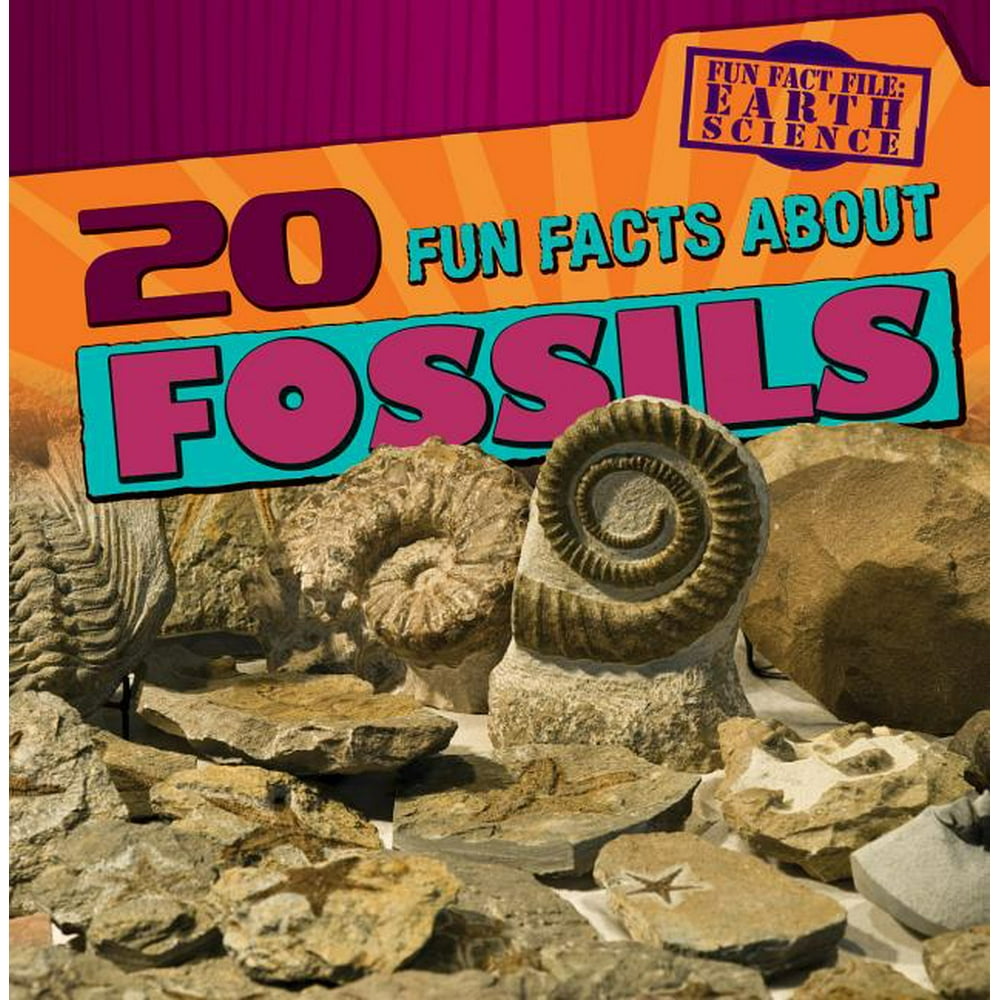 20 Fun Facts about Fossils - Walmart.com - Walmart.com