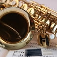 thumbnail image 4 of 1 Ensemble d'Aiguilles à Ressort pour Saxophone, Aiguilles de Réparation d'Instruments, Roseaux de Saxophone, 4 of 8