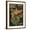 Brown Frame, variant on Art.com Vermouth Bianco Andreoli, 1921 Giclee Print by Attilio Bresciani, 12" x 16"