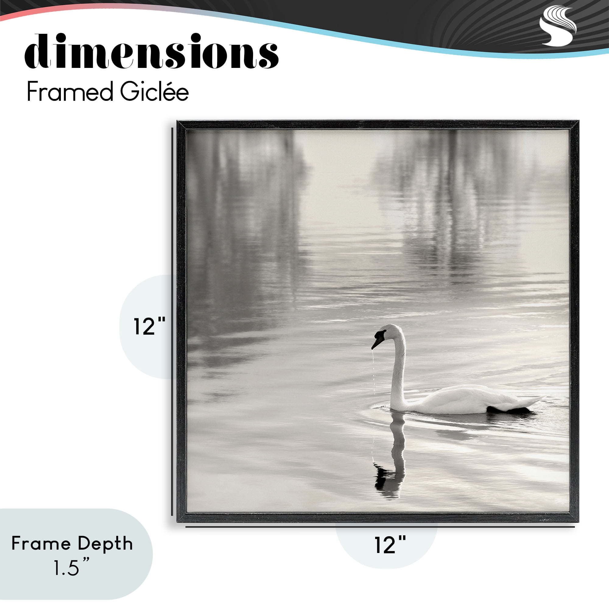 Stupell Industries Morning Sunlit Swan Black Framed Giclee Art, design by Nicholas Bell