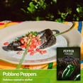 thumbnail image 3 of 5 Packs Poblano Pepper Seeds - Ancho Chiles - Non-GMO Heirloom Annual Full Sun, 3 of 6