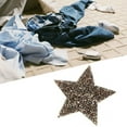 thumbnail image 4 of Apliques de Estrella ANGGREK 10 uds diamantes de imitación, 4 of 8