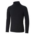 thumbnail image 1 of Suéter de punto cuello de tortuga cable Acanalado Mangas Largas Alto casual Grueso Unique Bargains Negro 56, 1 of 7