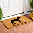 thumbnail image 2 of Calloway Mills 106941729 Whippet Doormat 17" x 29", 2 of 2