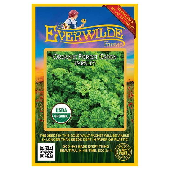 Everwilde Farms - 500 Organic Forest Green Parsley Seeds - Gold Vault Jumbo Bulk Seed Packet