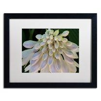 Trademark Fine Art "Hosta Flower Abstract" Canvas Art by Kurt Shaffer White Matte, Black Frame