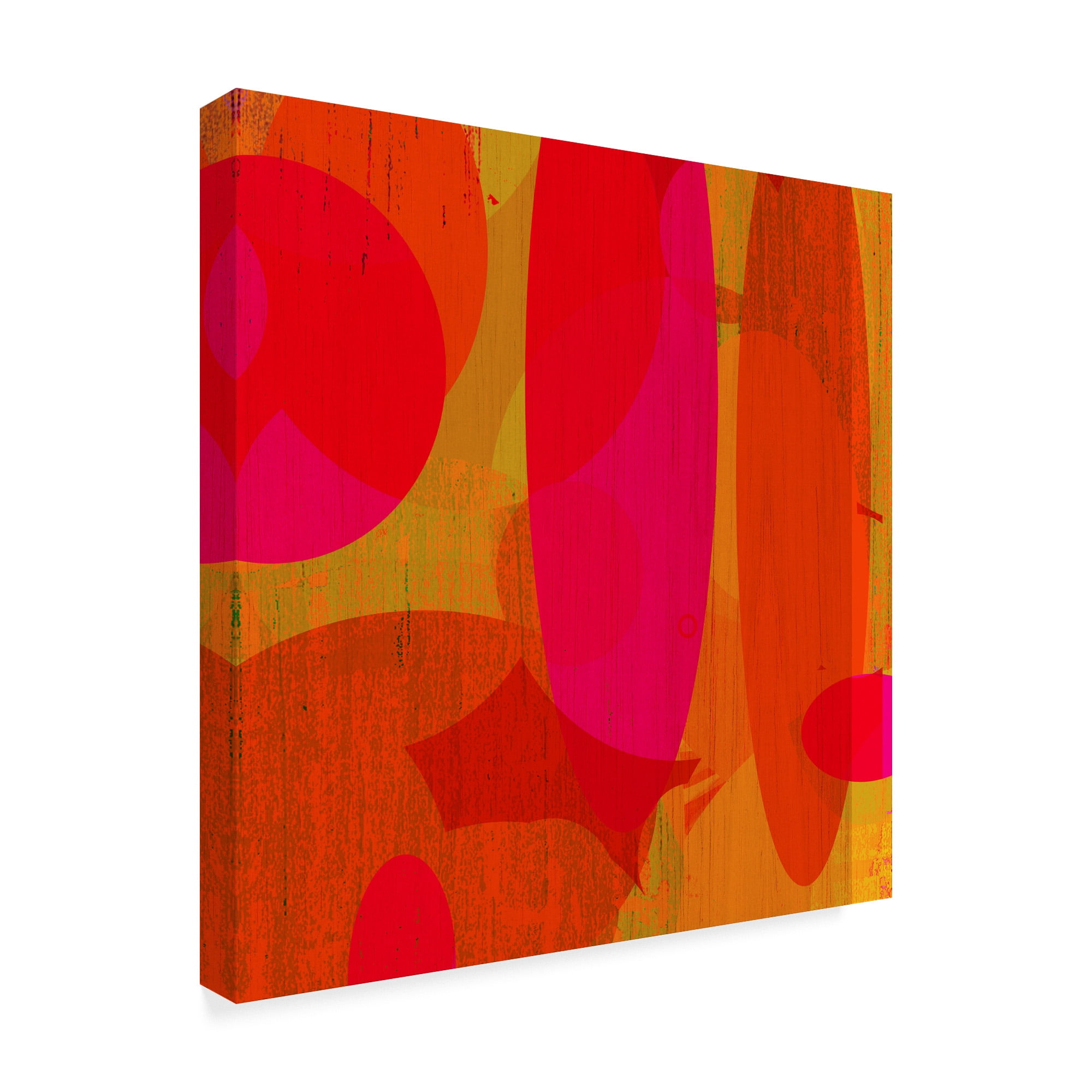 Trademark Fine Art 'Warm Ellipses II' Canvas Art by Ricki Mountain