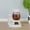 White, variant on Automatic Pet Feeder | Food Dispenser for Cats and Dogs - Gravity Feeder - Automatic Cat Feeder/Automatic Dog Feeder - Dog and Cat Feeding Supplies, Cat Food Dispenser