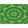 thumbnail image 1 of Ahgly Tapis Rectangulaire Lavable en Machine Intérieur Transitionnel Vert Néon, 6 Pieds x 9 Pieds, 1 of 7